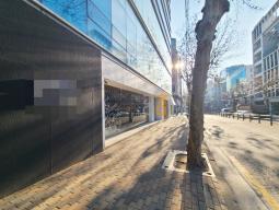 ȫ��ǹ� �Ÿ� ����/��:253��/1278��