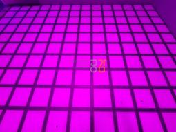 ���Ǹ�ȫ��� 5�� ��󸶴� �α� ��κ� 