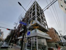 ȫ�� ���Ӵ� ���Ÿ� ���� ���