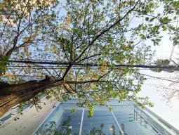 ȫ��ε��� ���Ǹ� ž�� ���� 4M 