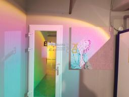 ȫ�� �� ����1�� ���� ���� ������ ��5